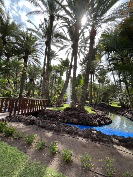 Außenansicht Hotel Riu Palace Oasis