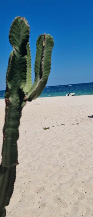 Strand Hotel Marhaba Palace