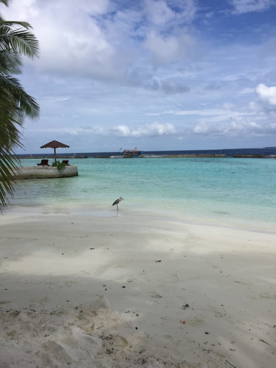 Strand Ellaidhoo Maldives by Cinnamon