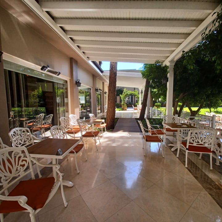 Gastro Papillon Ayscha