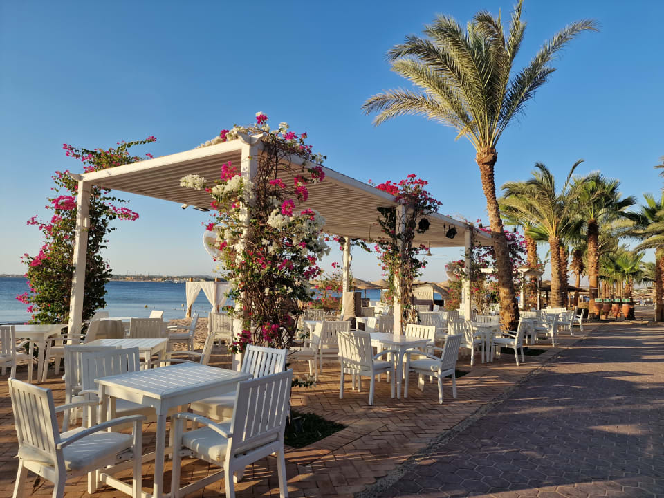 Gastro Fort Arabesque Resort, Spa & Villas