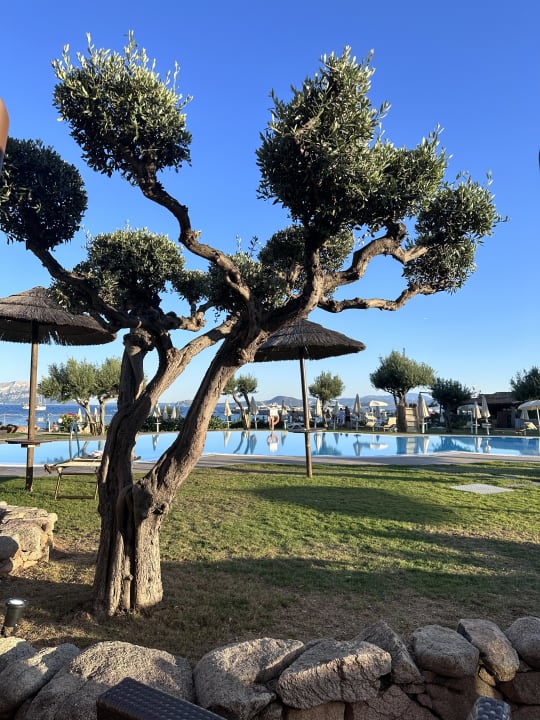 Pool Hotel Resort & Spa Baia Caddinas