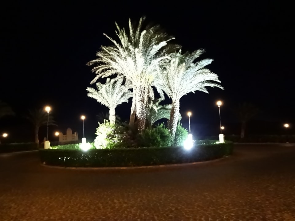 Gartenanlage Hotel Riu Karamboa