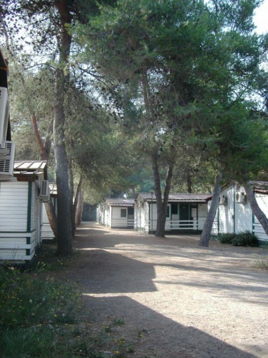 Bungalows Hotel Country Club Castelfusano