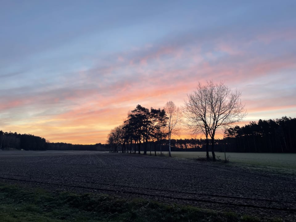 Ausblick Ferienbauernhof Leverenzhof