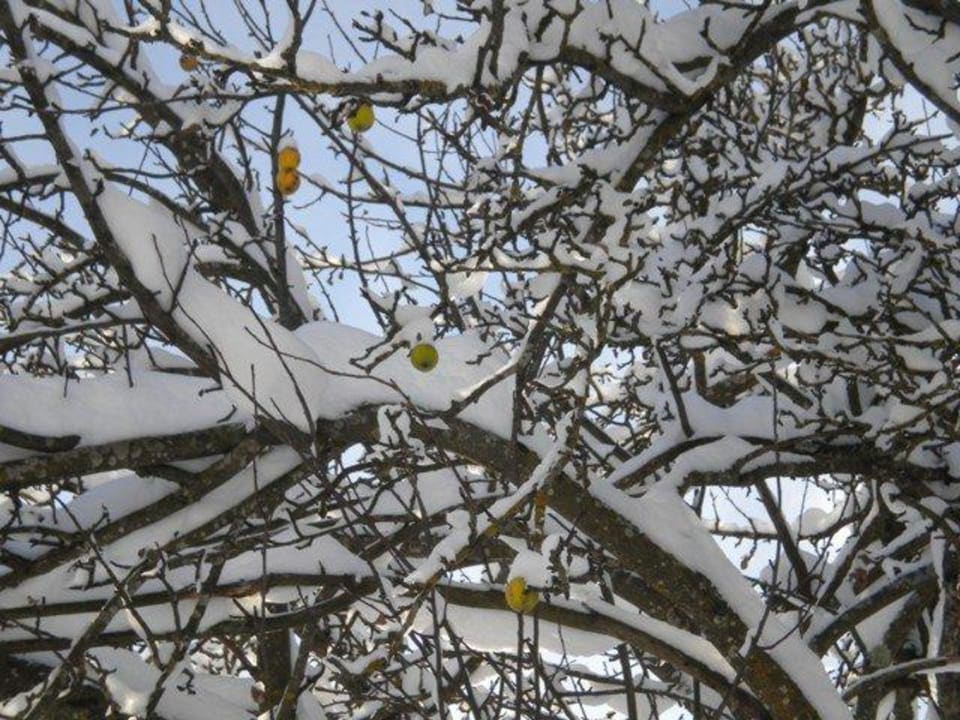 Winter rund ums Haus Naturparkpartner Bauernhof und Ferienhaus Sperl