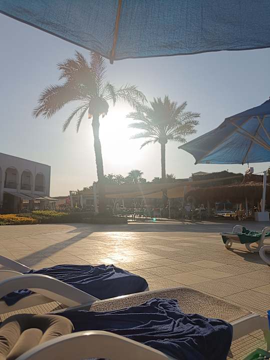 Sonstiges Desert Rose