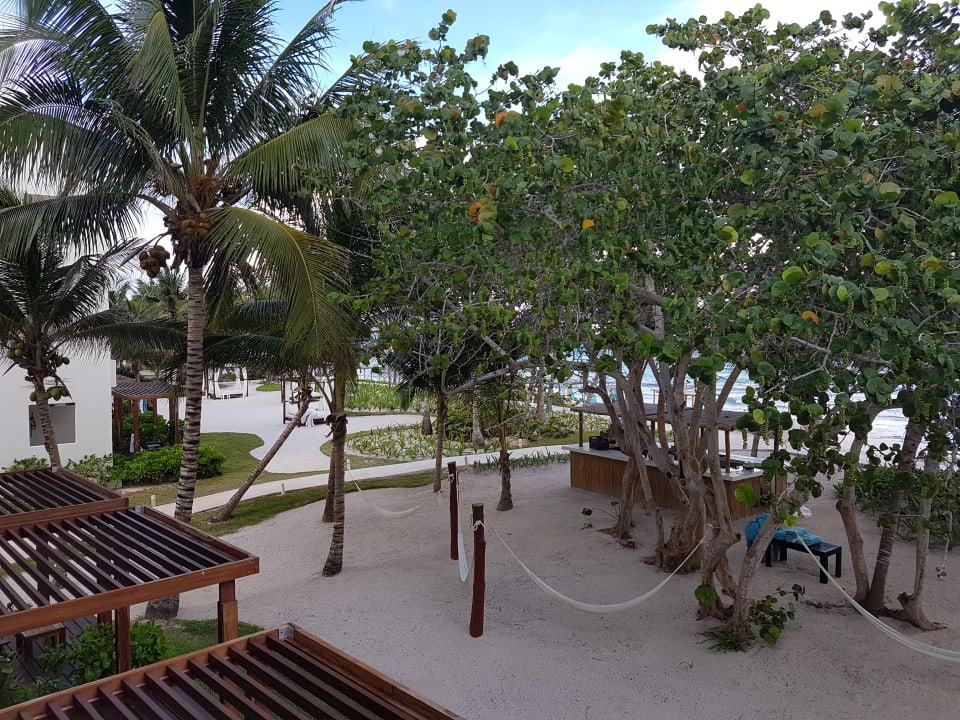 Gartenanlage Akumal Bay Beach & Wellness Resort