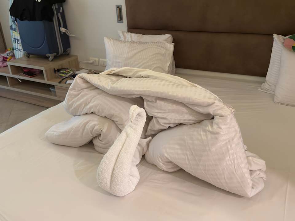 Zimmer Titanic Royal