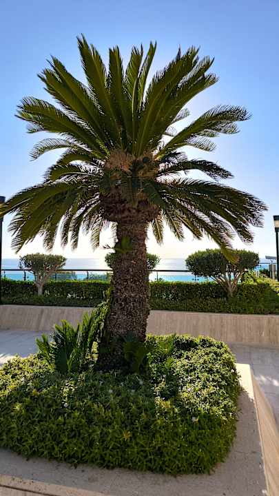 Ausblick Side Star Elegance