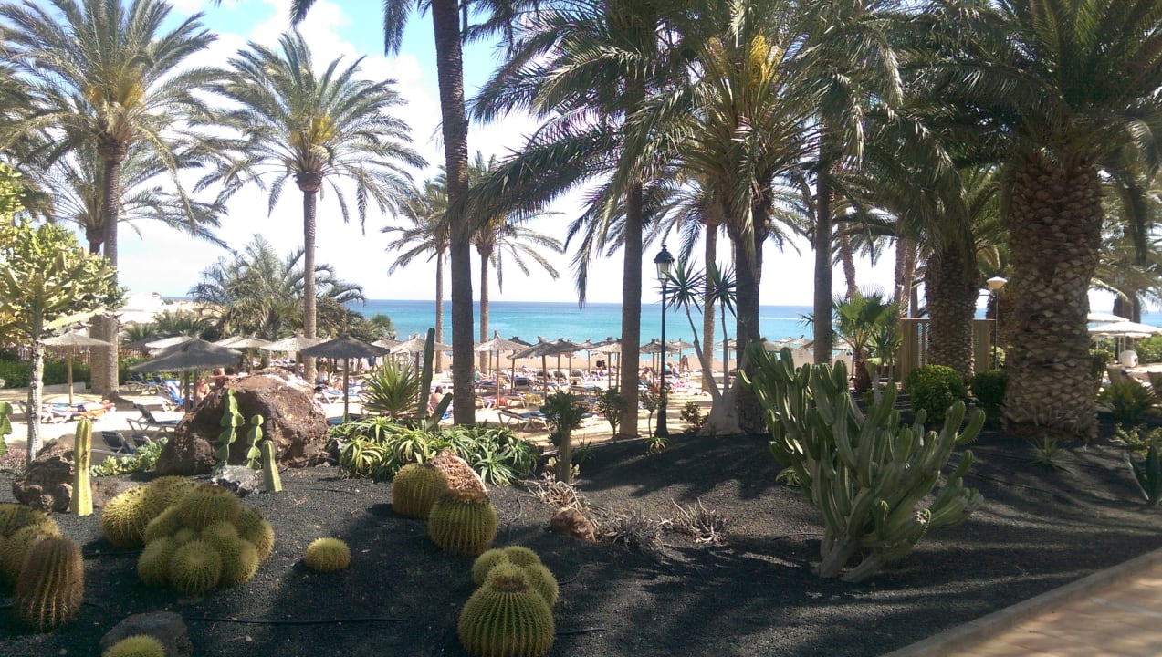 Ausblick SBH Costa Calma Beach Resort