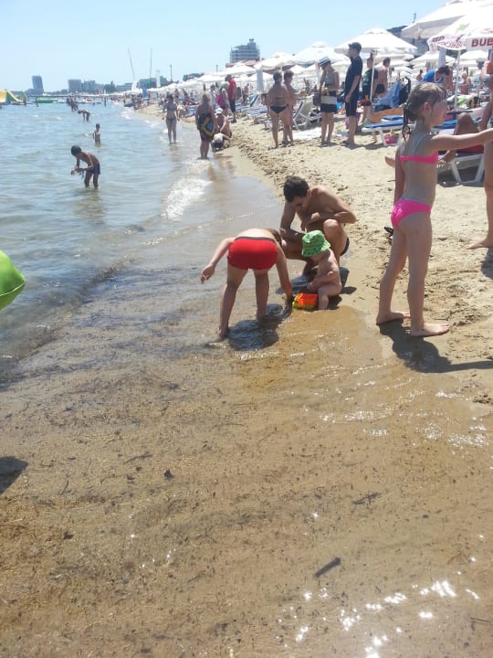 Überfüllter Strand, kostenpflichtig DAS Club Hotel Sunny Beach