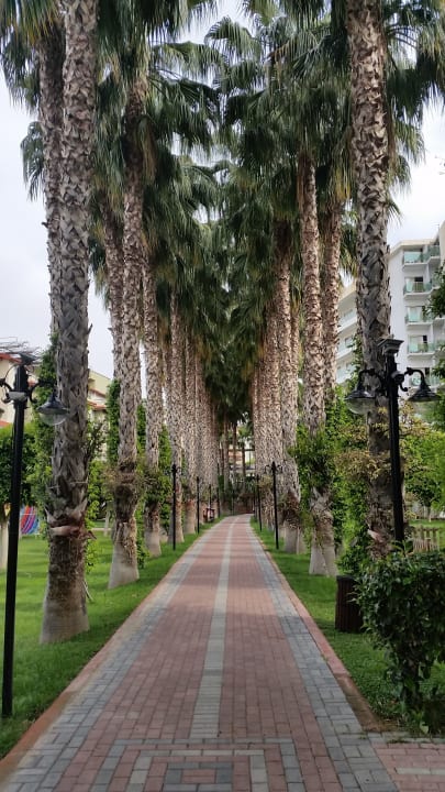 Gartenanlage Hotel Gardenia Beach