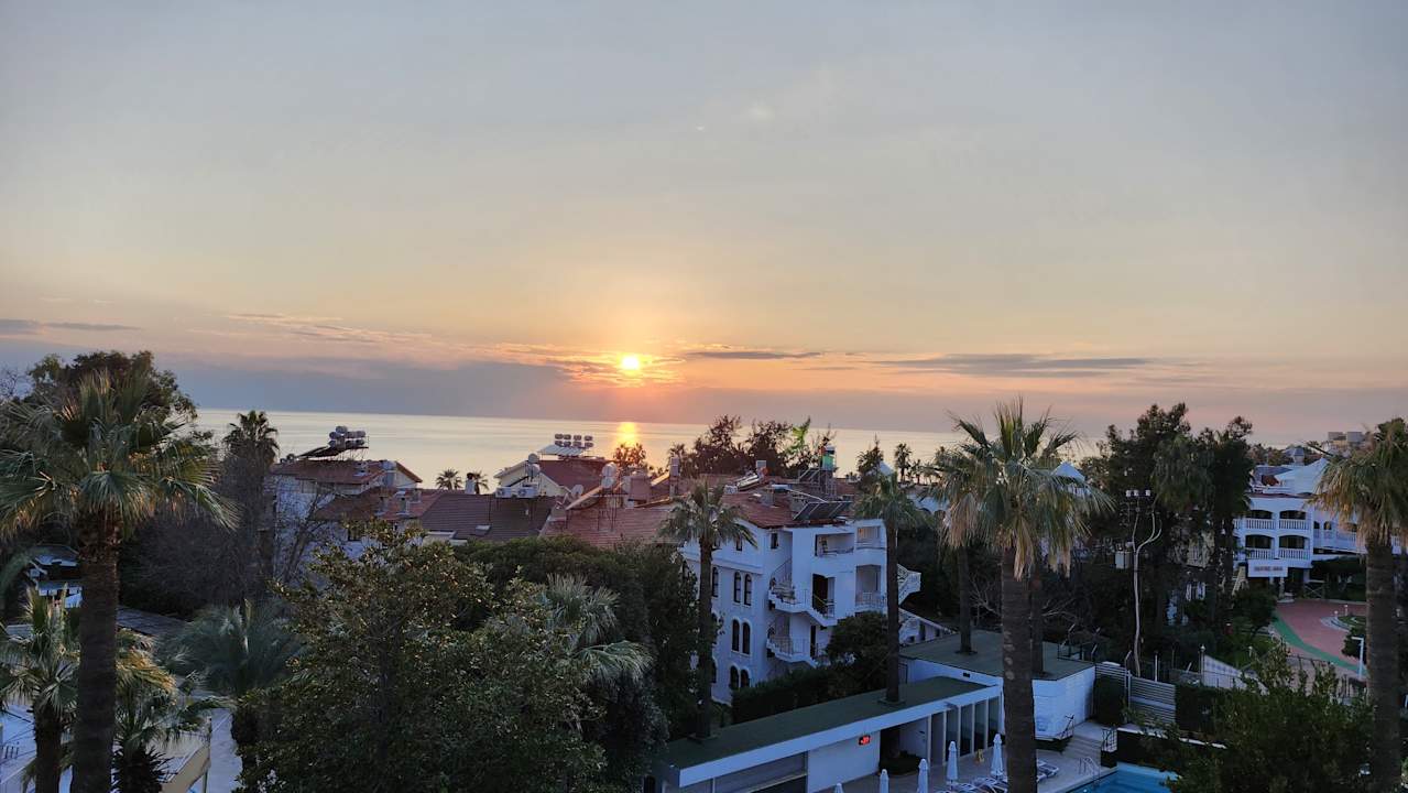 Strand Side Star Elegance