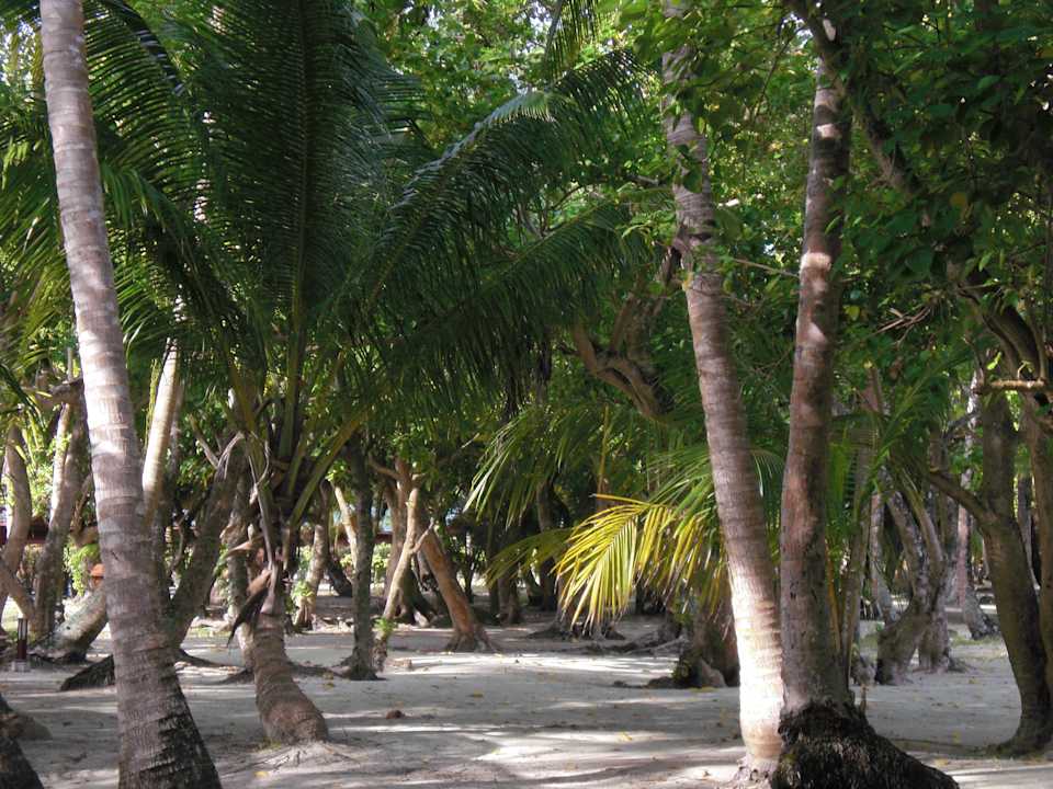 Ausblick Meeru Maldives Resort Island
