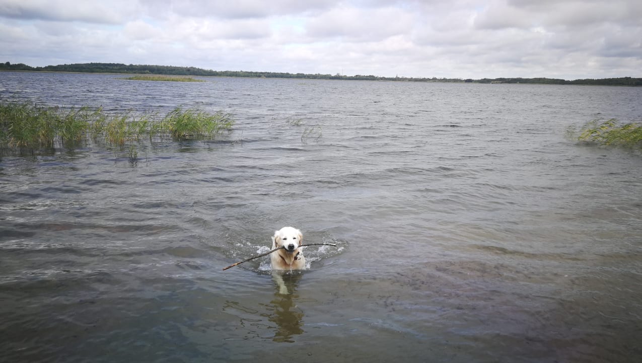 Strand See- und Waldresort Gröbern