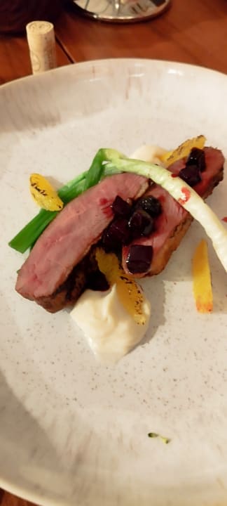 Gastro Acanthus Cennet Barut Collection