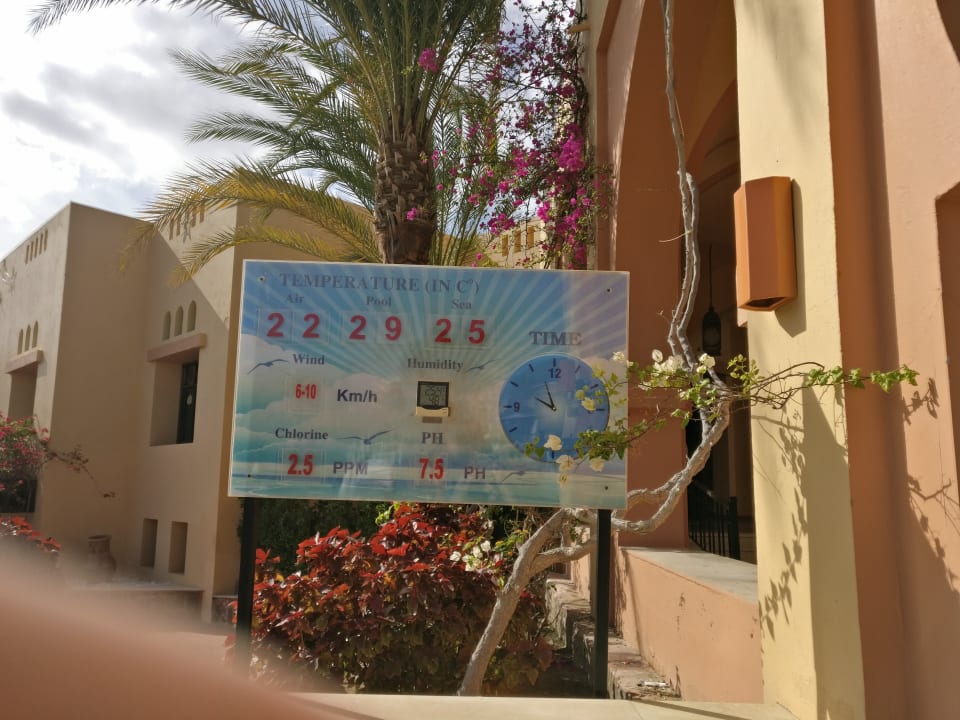 Gartenanlage Steigenberger Coraya Beach - Adults only