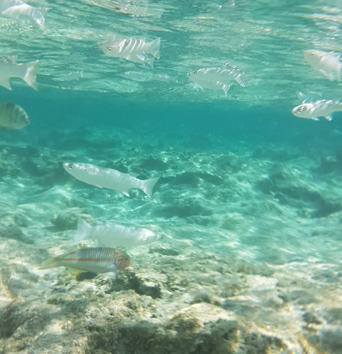 Sport & Freizeit Three Corners Sea Beach Resort