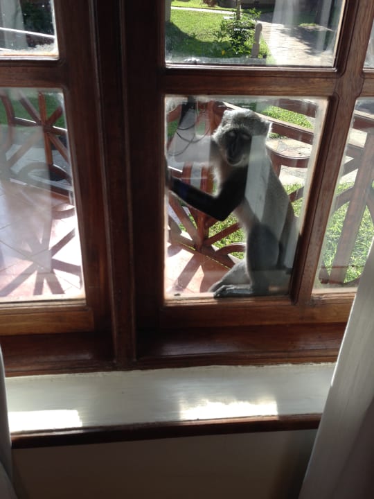 Ausblick Neptune Paradise Beach Resort & Spa