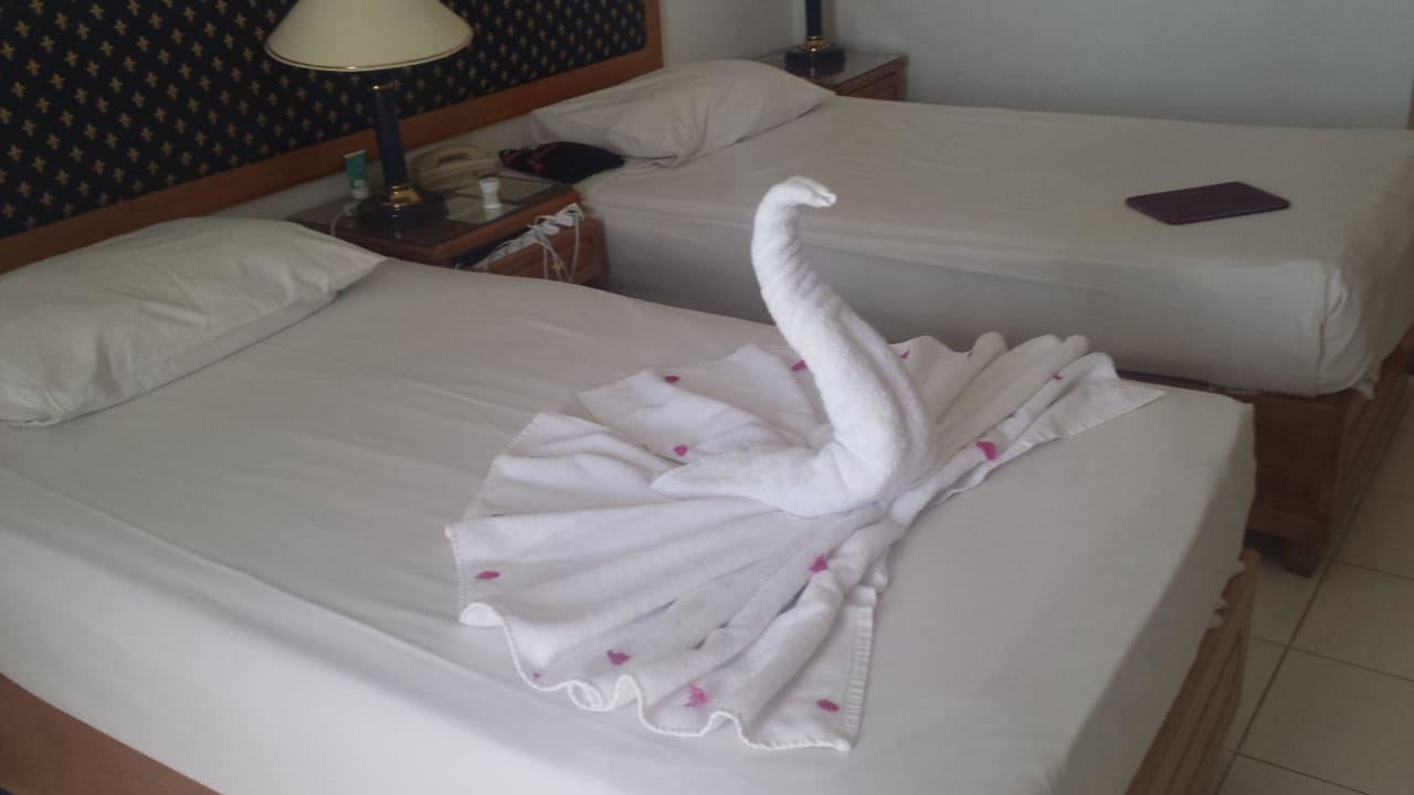 Cleaning mans work  Desert Rose