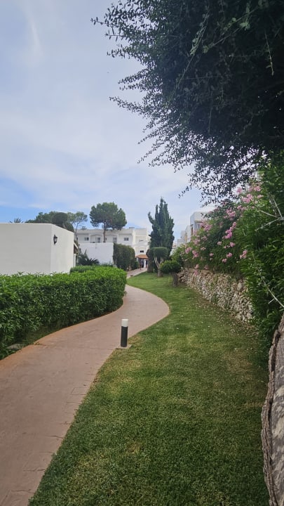 Gartenanlage Gavimar Ariel Chico Club & Resort