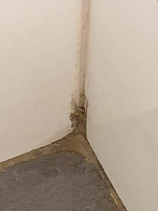 Zimmer Glamour Resort & Spa