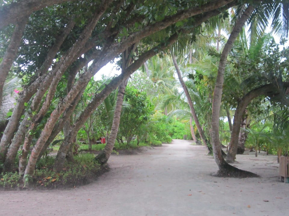 Schöne Wege durch die Insel Kuramathi Maldives