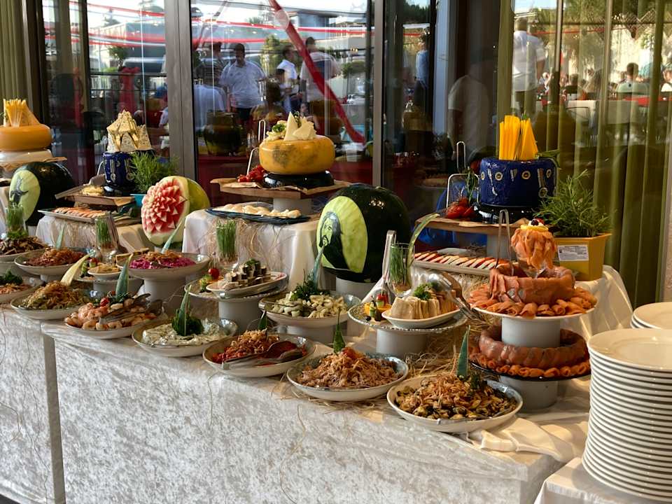 Gastro Seashell Vega