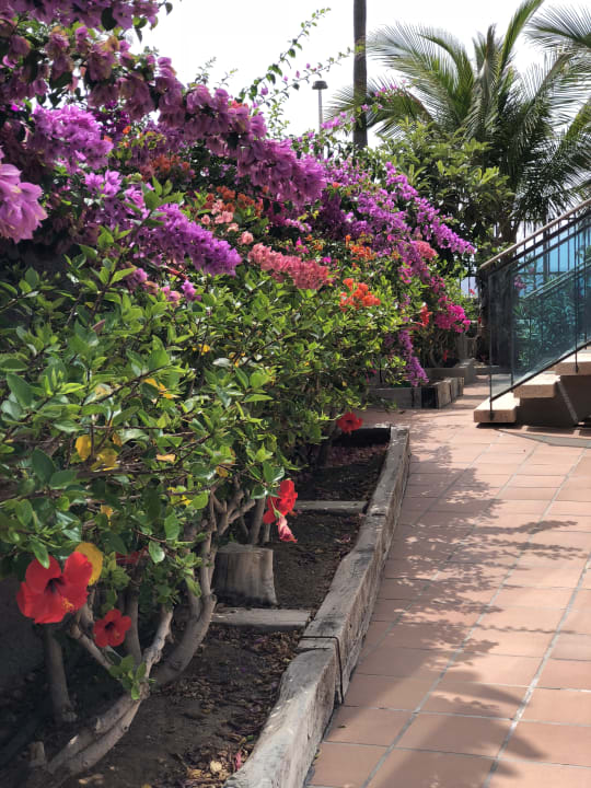 Gartenanlage Las Tabaibas Appartements