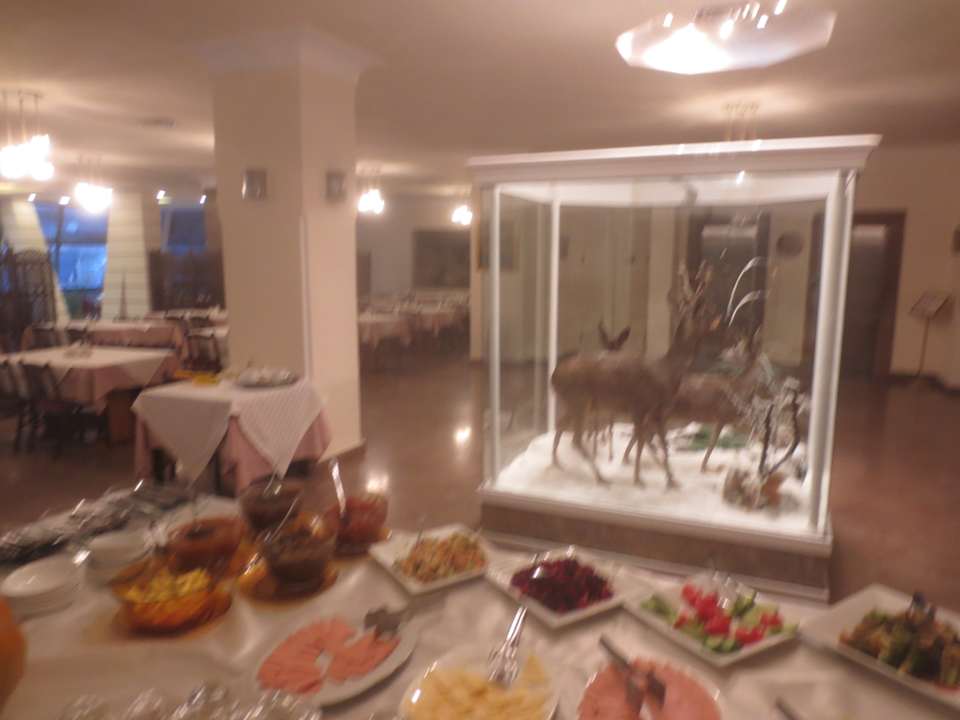 Gastro Shirak Hotel