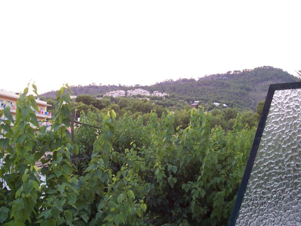 Ausblick aus Zimmr 106 Hostal Villa Cati