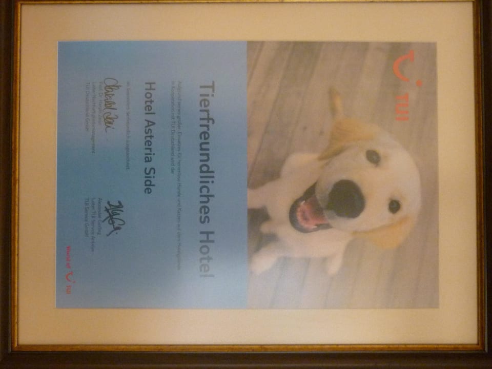 Als tierfreundliches Hotel ausgezeichnet Side Star Elegance