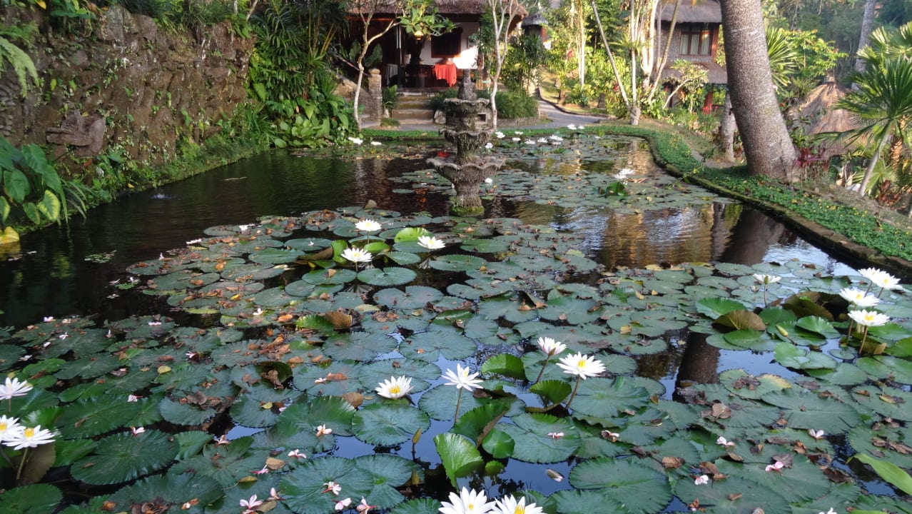 Wunderschöne Anlagen Hotel Tjampuhan