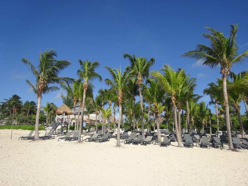 Strand Catalonia Playa Maroma