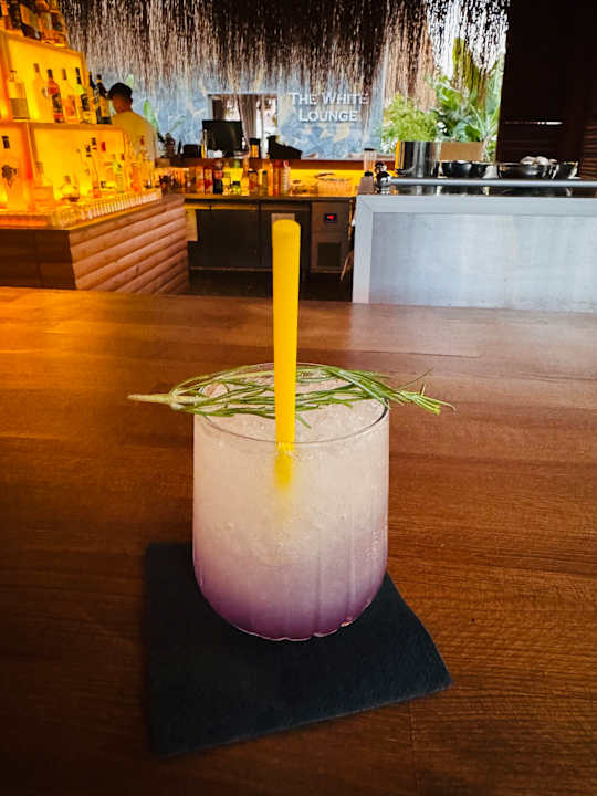 Gastro Rubi Platinum Sign