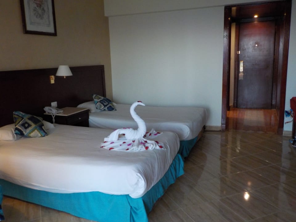 Zimmer Malikia Resort Abu Dabbab