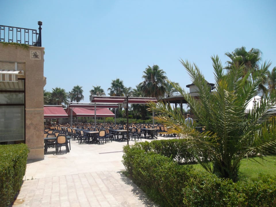 Restaurant Selectum Family Comfort Side