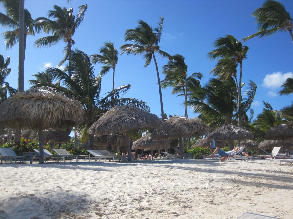 Einfach wirken lassen  Catalonia Punta Cana - All Inclusive