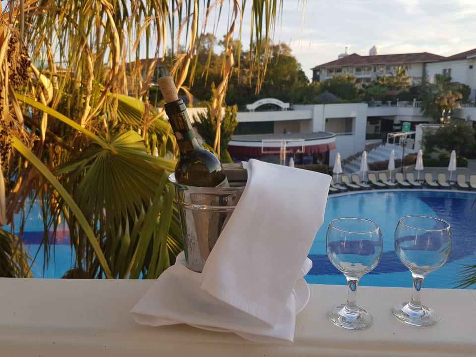 Ausblick Alba Queen Hotel