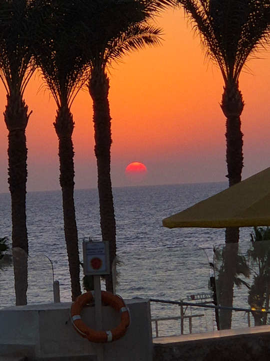 Zimmer Pickalbatros Citadel Resort