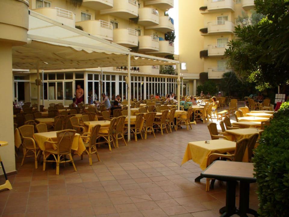 Blick auf Terrasse Protur Palmeras Playa Aparthotel