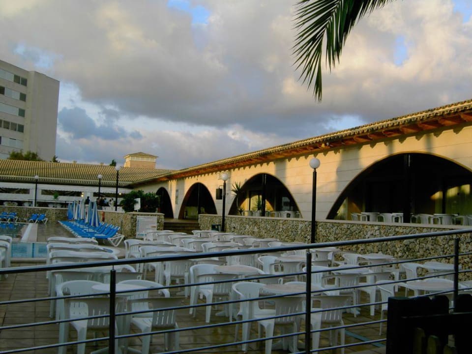 Pool / Bar Hipotels Mediterraneo Club