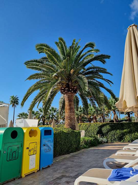 Pool Hipotels Cala Millor Park