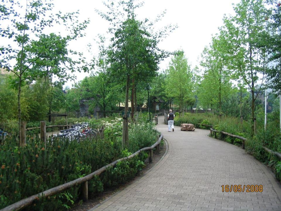 Parkanlage Center Parcs De Eemhof