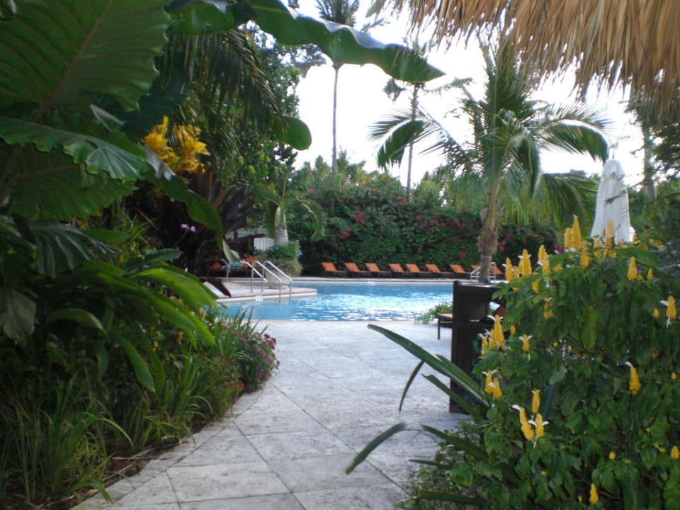 Blick auf den Pool The Palms Hotel & Spa