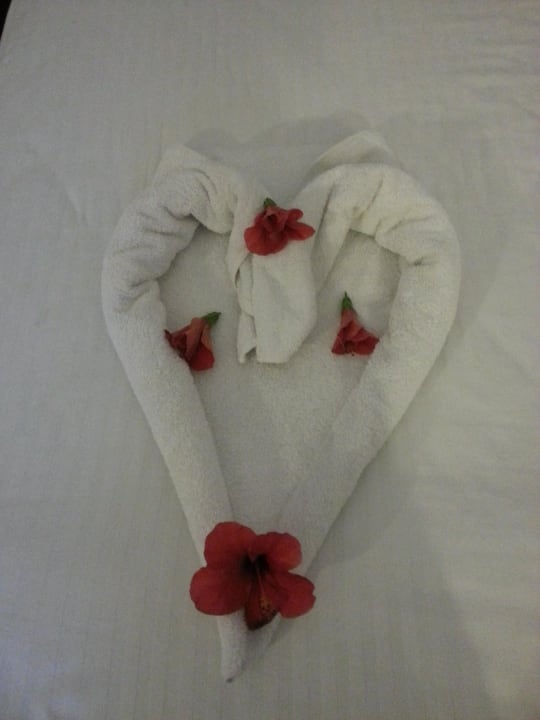 Deko! Pickalbatros Alf Leila Wa Leila Resort - Neverland Hurghada