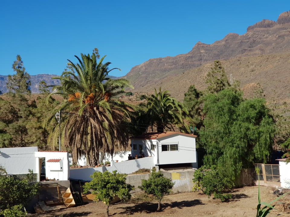 Ausblick Bio Finca - Las Tenerías