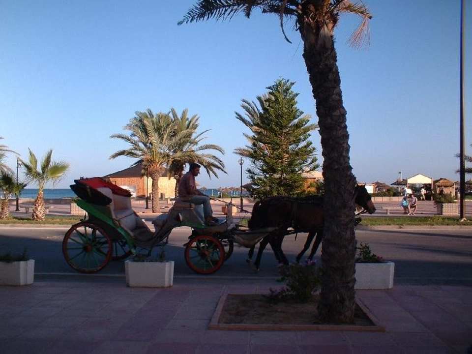 Kutscher Hotel Yasmine Beach Resort