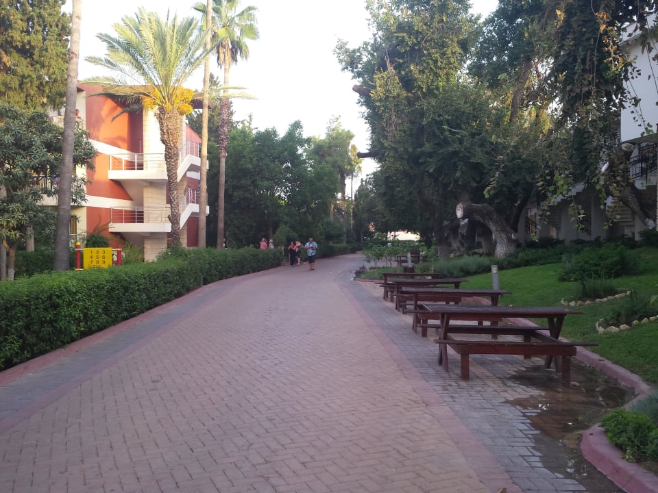 Weg zu den neuen Bungalows Horus Paradise Luxury Resort & Club